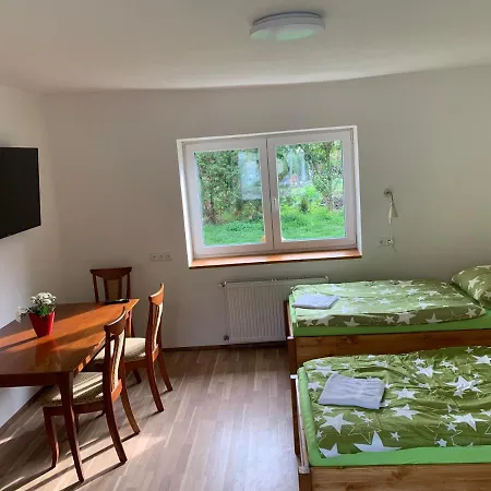 Homestay Kosmonosy, Hradistska 193